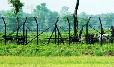 নওগাঁ সীমান্তে বিএসএফ এর হাতে এক বাংলাদেশী নাগরিক আটক
