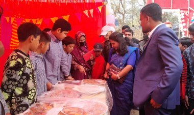 নওগাঁর বদলগাছী উপজেলায় দিনব্যাপী পিঠা উৎসব