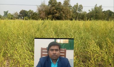 নওগাঁয় সরিষা চাষে লাভমান কৃষকরা-মধু সংরক্ষণ করে বাড়তি আয়