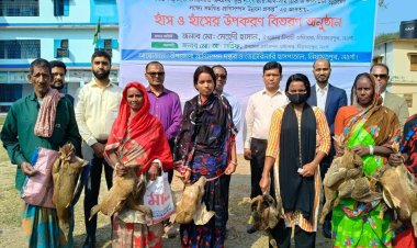 নিয়ামতপুরে ক্ষুদ্র-নৃগোষ্ঠী সম্প্রদায়ের মাঝে উন্নত প্রজাতির হাঁস বিতরণ