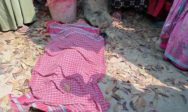 বাঘায় সড়ক দূর্ঘটনায় শিশু মৃত‍্যুর ঘটনায় আটক দুই