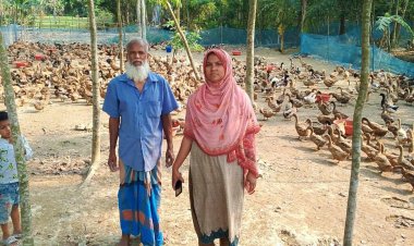 দুমকীতে হাঁসের খামারে স্বপ্ন বুনছেন বাবা ও মেয়ে