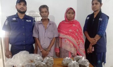 নাসিরনগরে গাঁজাসহ দুইজন গ্রেফতার