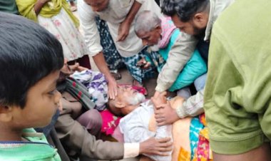 শিবগঞ্জে ট্রাক চাপায় সাইকেল চালক নিহত