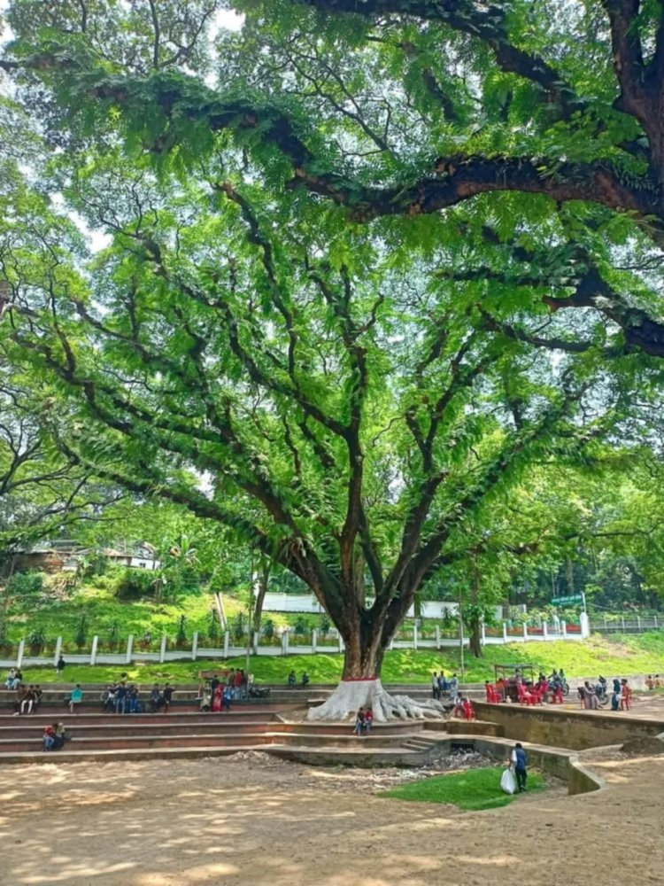 চট্টগ্রামের ফুসফুস-সিআরবি