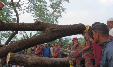 দুমকীতে কালবৈশাখী ঝড়ের কবলে বসতঘর ও মাহিন্দ্রাগাড়ির ওপরে গাছপড়ে আহত-২