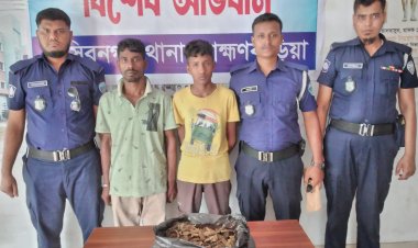 নাসিরনগরে ১ কেজি গাঁজাসহ দুইজন আসামী গ্রেফতার