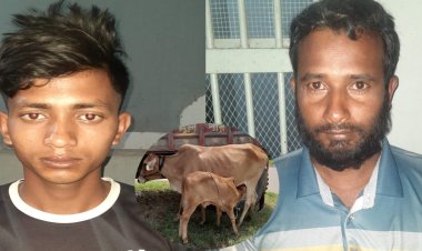 চাঁপাইনবাবগঞ্জে ওসি মতিউরের তৎপরতায় দ্রুত সময়ের মধ্যে চুরি হওয়া গরুসহ দুই চোর গ্রেফতার