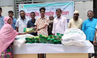 বাঘায় বিনামূল্যে বীজ ও সার বিতরণ