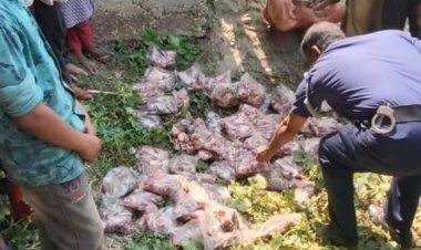 নওগাঁয় ৮০ প্যাকেট পরিত্যক্ত মাংস উদ্ধার