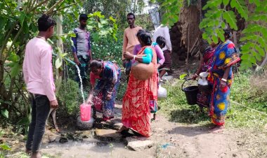 নিয়ামতপুরে কালবৈশাখী তাণ্ডবে বিদ্যুৎ ও খাবার পানির জন্য হাহাকার
