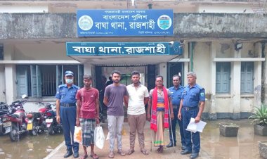 বাঘায় পৃথক অভিযানে গাঁজা ও ইয়াবাসহ আটক-৪