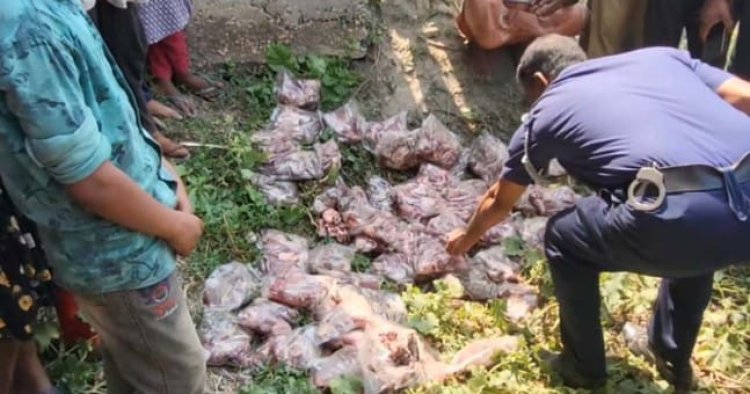 নওগাঁয় ৮০ প্যাকেট পরিত্যক্ত মাংস উদ্ধার