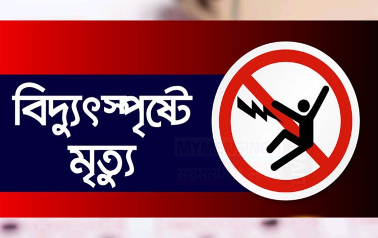 বিদ্যুৎস্পৃষ্ট হয়ে দুমকীতে নির্মাণ শ্রমিকের মর্মান্তিক মৃত্যু