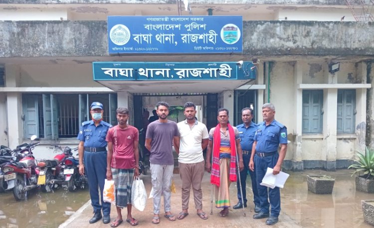 বাঘায় পৃথক অভিযানে গাঁজা ও ইয়াবাসহ আটক-৪