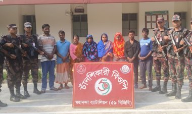 চাঁপাইনবাবগঞ্জ সীমান্তে দিয়ে ৮ জনকে পুশইন করেছে বিএসএফ