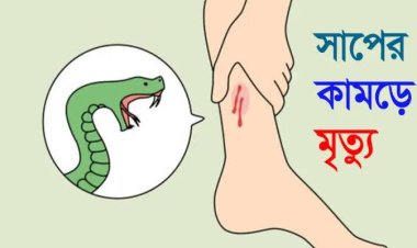 নিয়ামতপুরে সাপের কামড়ে কিশোরীর মৃত্যু