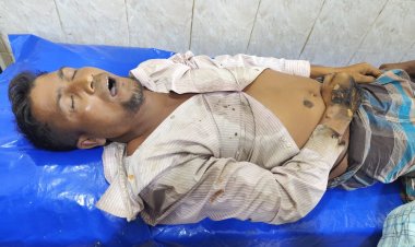 হবিগঞ্জে জাম পাড়তে গিয়ে বিদ্যুৎস্পৃষ্টে নিহত-১ আহত-১