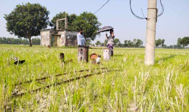 নিয়ামতপুরে ট্রান্সফরমার চুরি আতঙ্কিত কৃষকরা