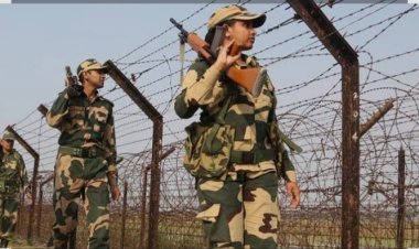 নওগাঁয় সীমান্ত দেখতে এসে দুই বন্ধু আটক