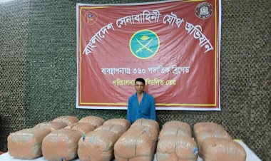 বাহুবলে সেনাবাহিনীর অভিযানে বিপুল পরিমাণ গাঁজাসহ মাদক কারবারি আটক