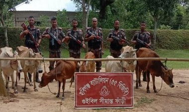হবিগঞ্জ সীমান্তে বিজিবি’র ৫ দিনের অভিযানে ১কোটি ৭২লাখ টাকার চোরাচালানি পণ্য ও মাদক জব্দ