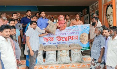 নাচোলে বিনামূল্যে কৃষকের মাঝে বীজ ও সার বিতরণ