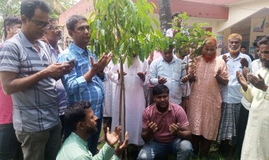 বদলগাছীর মিঠাপুর ইউনিয়ন কৃষক দলের উদ্যোগে বৃক্ষরোপণ কর্মসূচি উদ্বোধন