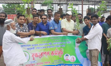 তারেক রহমানের ৩১দফা বাস্তবায়নে নওগাঁয় বৃক্ষরোপণ কর্মসূচি