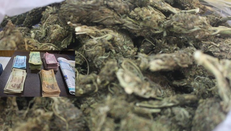 বদলগাছীতে গাঁজাসহ নারী মাদক কারবারি আটক