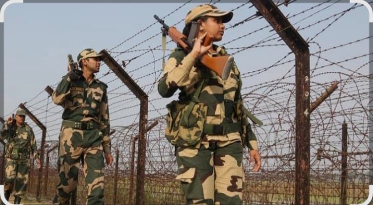 নওগাঁয় সীমান্ত দেখতে এসে দুই বন্ধু আটক