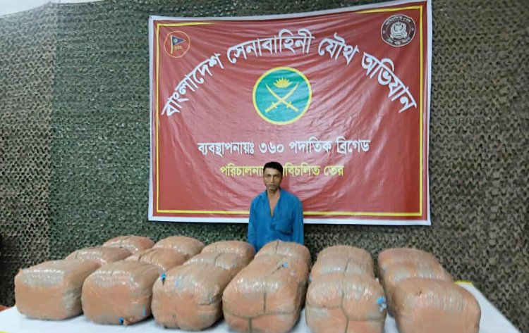 বাহুবলে সেনাবাহিনীর অভিযানে বিপুল পরিমাণ গাঁজাসহ মাদক কারবারি আটক