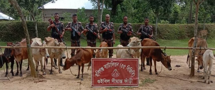 হবিগঞ্জ সীমান্তে বিজিবি’র ৫ দিনের অভিযানে ১কোটি ৭২লাখ টাকার চোরাচালানি পণ্য ও মাদক জব্দ