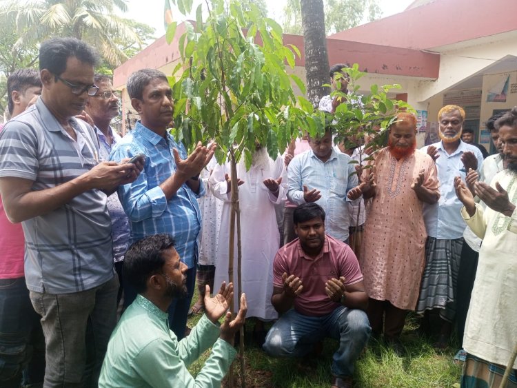 বদলগাছীর মিঠাপুর ইউনিয়ন কৃষক দলের উদ্যোগে বৃক্ষরোপণ কর্মসূচি উদ্বোধন