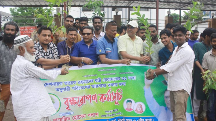 তারেক রহমানের ৩১দফা বাস্তবায়নে নওগাঁয় বৃক্ষরোপণ কর্মসূচি