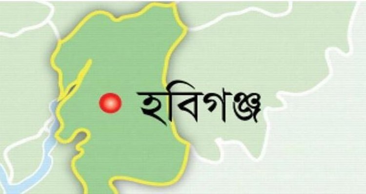 হবিগঞ্জে দ্রুতগতির গাড়ির চাপায় অজ্ঞাতনামা পথচারীর মর্মান্তিক মৃত্যু