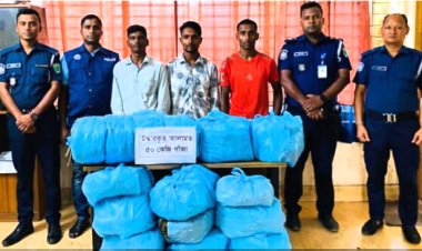 মাধবপুরে গাঁজাসহ আপন দুই ভাইসহ তিনজন গ্রেপ্তার