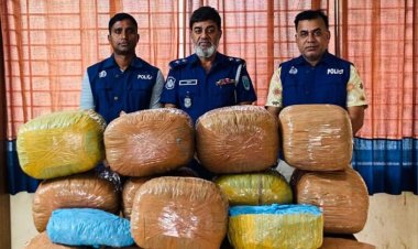 মাধবপুরে পুলিশের অভিযানে বিপুল পরিমাণ গাঁজা উদ্ধার