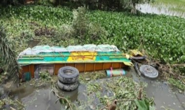 বদলগাছী আম বোঝাই ট্রাকের সঙ্গে সংঘর্ষে ৫ লক্ষ টাকার আমসহ ট্রাক খাদে