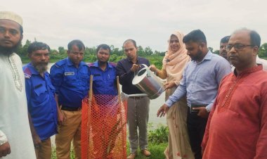 বজ্রপাত রোধে নাসিরনগরে তাল গাছের চারা রোপন