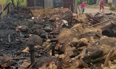 ‎চুনারুঘাটে কয়েল থেকে আগুন-৩০টি গবাদিপশু ও হাঁস-মুরগি পুড়ে ছাই