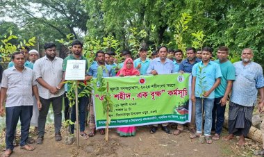 জুলাই শহীদদের স্মরণে নিয়ামতপুরে বৃক্ষরোপন