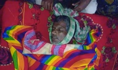 চাঁপাইনবাবগঞ্জে বিষাক্ত সাপের কামড়ে কৃষকের মৃত্যু