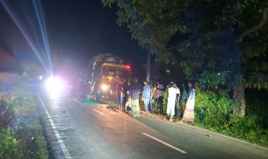 নবীগঞ্জে ট্রাক-সিএনজি সংঘর্ষে নিহত-১ আহত-৪