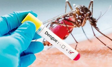 চাঁপাইনবাবগঞ্জে ডেঙ্গুতে আক্রান্ত-৩৫