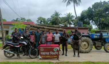 নওগাঁ সীমান্তে কাঠ পাচারকালে কাঠসহ আটক-৫