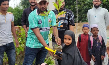 নওগাঁয় বৃক্ষরোপণ ও চারা বিতরণ কর্মসূচি