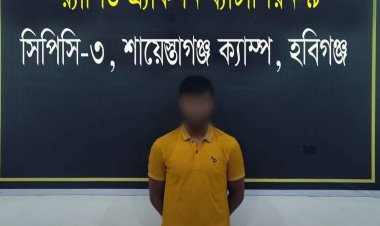 হবিগঞ্জে অন্তঃসত্ত্বা গৃহবধূকে হত্যা-কেরানীগঞ্জ থেকে স্বামী গ্রেফতার