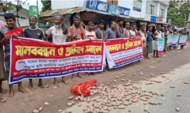 রাস্তায় আলু ফেলে নায্য দাম নির্ধারণের দাবিতে নওগাঁয় মানববন্ধন