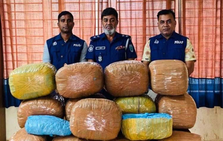 মাধবপুরে পুলিশের অভিযানে বিপুল পরিমাণ গাঁজা উদ্ধার